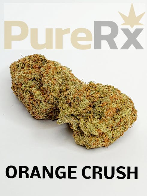 ORANGE CRUSH