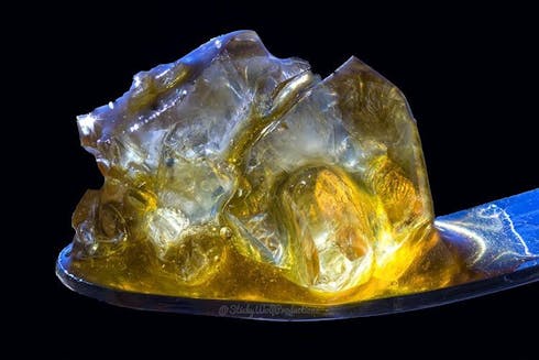 Kush Masters Live Diamonds