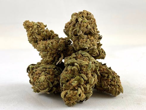 Jack Herer - Sun Sokd