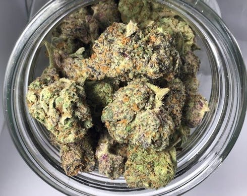 Gelato Cake