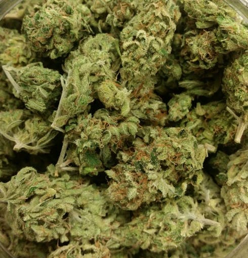 Somango (TAXES INCLUDED)