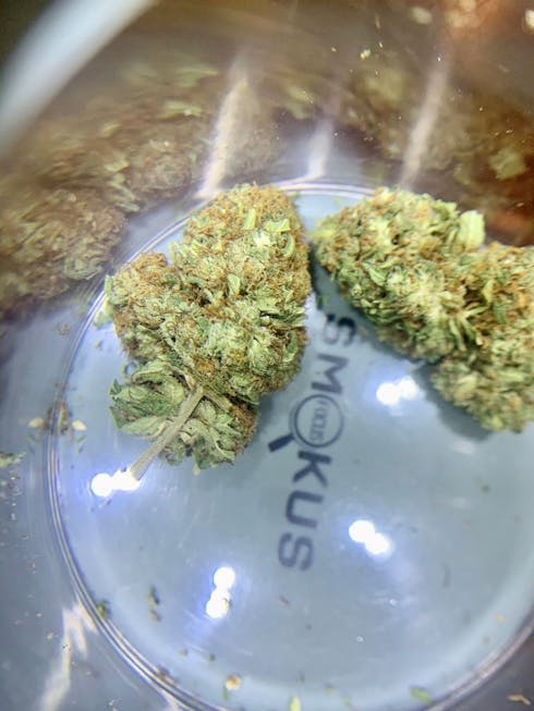 Fruit Punch