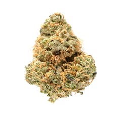 Golden Goat