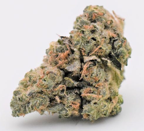 Hell's OG (f.k.a. Hell's Angels OG) 2.0