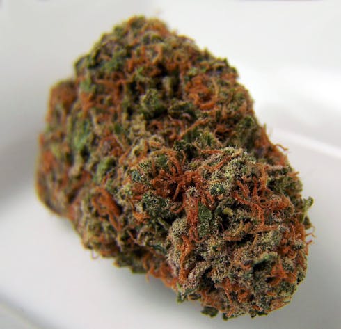 Purple AK-47