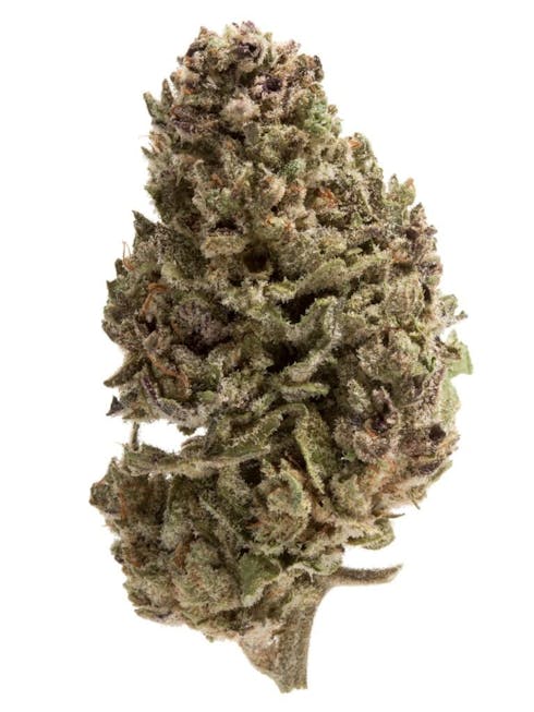 Blue Magoo