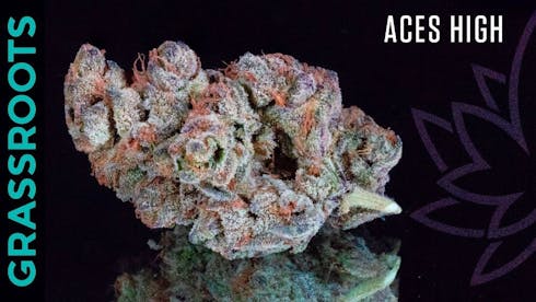 Ace's High