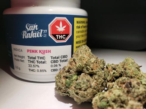 Pink Kush
