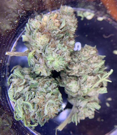 CBG Flower