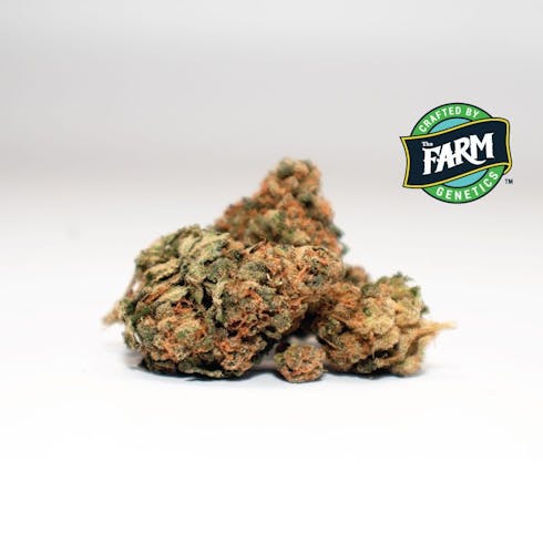 Wild Blue Yonder (Sativa)