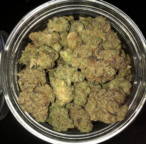 Gelato