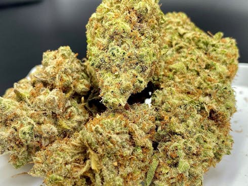 White Widow