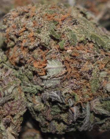 Granddaddy Purple by RvR Distribution