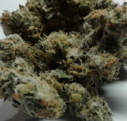 Cookies and Cream
