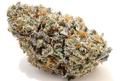 (PRE ORDER ONLY) Club Soda (23.04%THC) Grizzly Peaks
