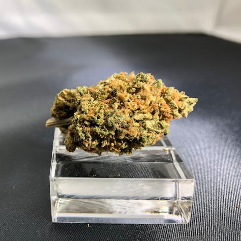 Apple Sherbert