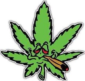 20% Sales Tax Included