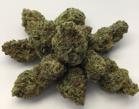 Original Glue