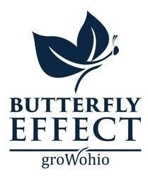 Butterfly Effect / Syringe - Burkle (Indica)