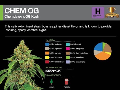 Chem OG