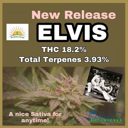 Elvis Sungrown 54 Green Acres