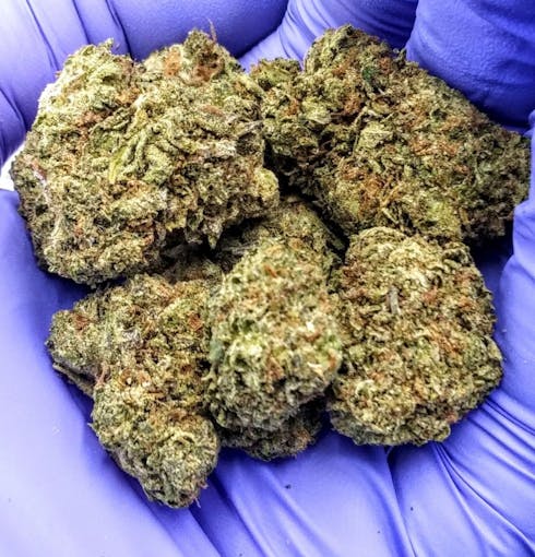 XXX OG
