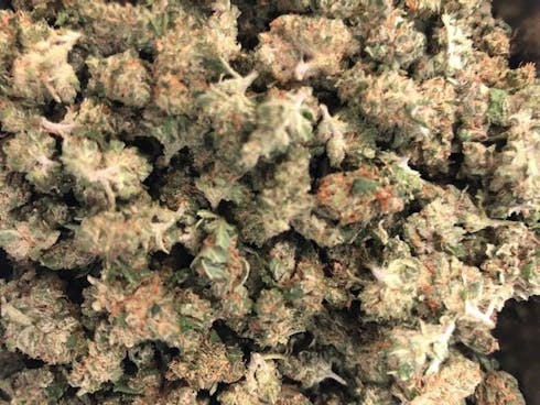Sour Tsunami