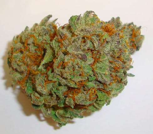 Afghani Builder Eighth 21.04%
