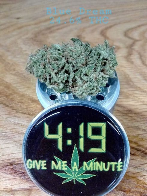 Blue Dream