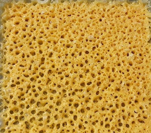 Famous Wax