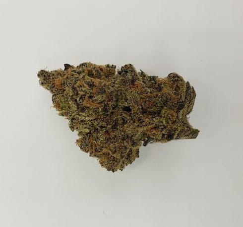 Tangie