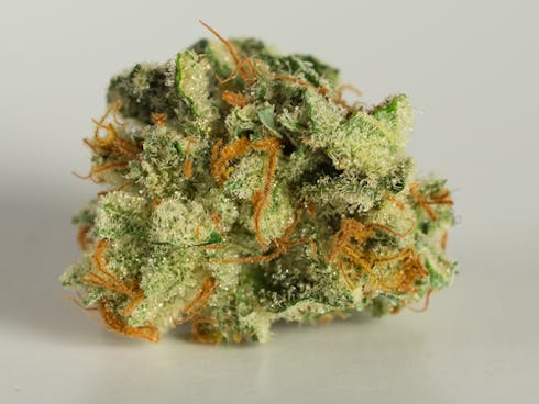 CRITICAL MASS (20.44%)
