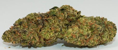 Gorilla Cookies