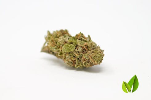 Skywalker OG - XO Label