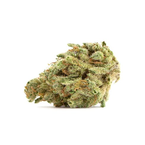 Pure Beauty Fancy Violet (Indica Hybrid)