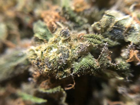 AC/DC (CBD)