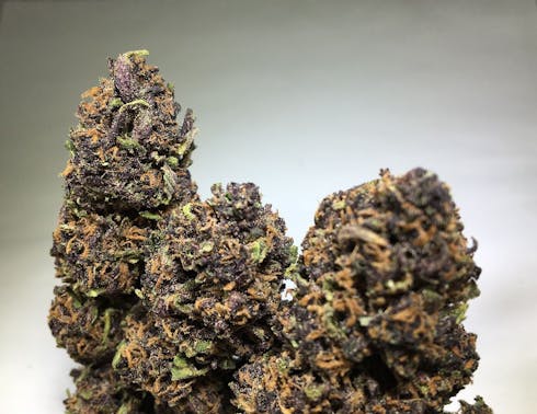 Forbidden Fruit (Indica)