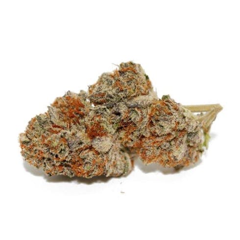 MOTOR BREATH (28.6%)