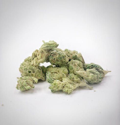 SALE: Lost Cause (Small Buds)