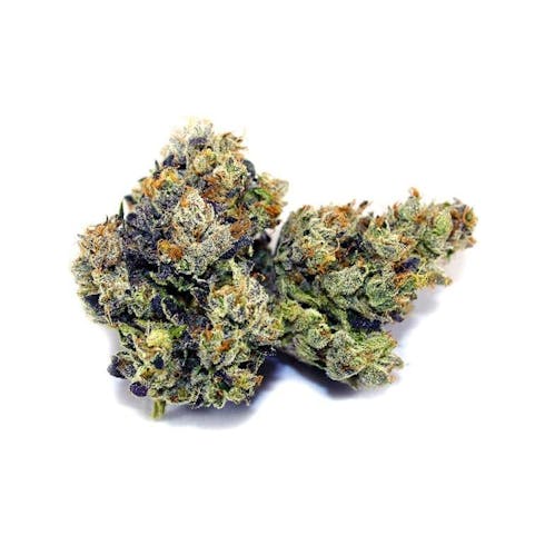 G6 (aka Jet Fuel)