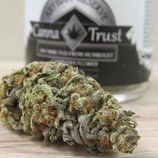 Ultra 'Violence' 1/8 Oz. by Canna Trust