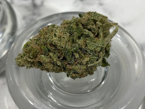 Afghan Kush