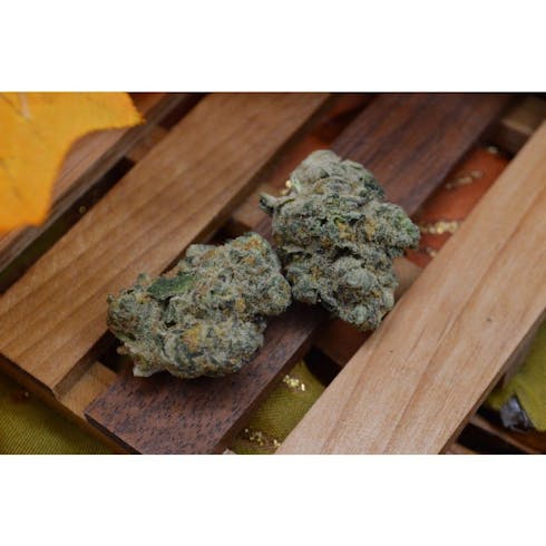 gLeaf: Cookies and Cream