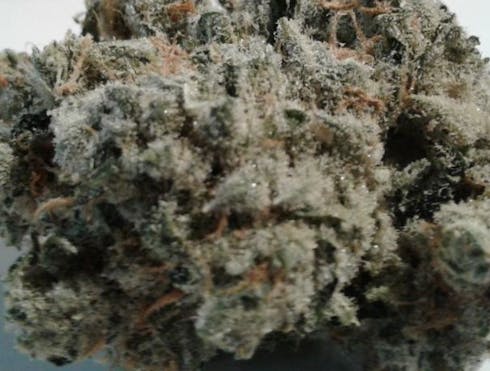 Platinum Kush