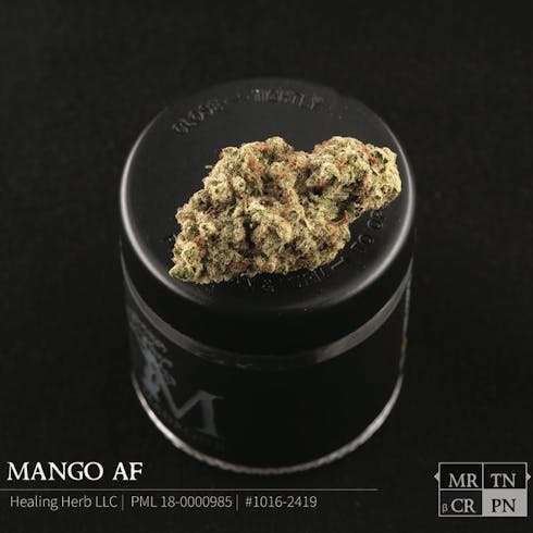 Mango- 21.75% THC- Madrone