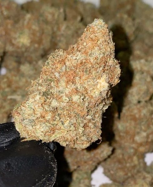 PURPLE AYAHUASCA