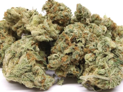 Wifi (S/I) 20.4%THC (HIGH GARDEN)