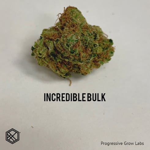 Incredible Bulk