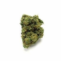 Banjo (Greenhouse) (10-20%THC) Pacific Stone