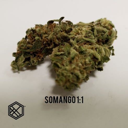 Somango 1:1